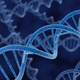 Image for article titled Cities Across The U.S. Are Beginning to Wade Through Rape Kit Backlog
